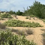 River Park * סאני ביץ'