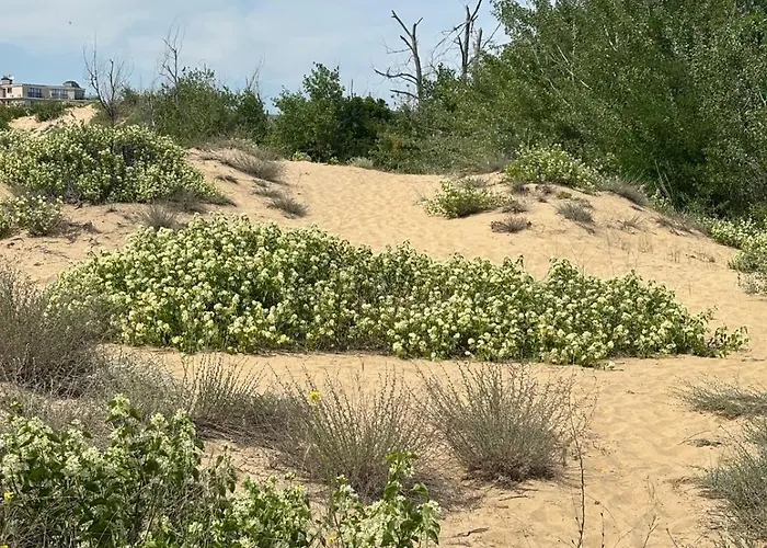 River Park * Слънчев бряг