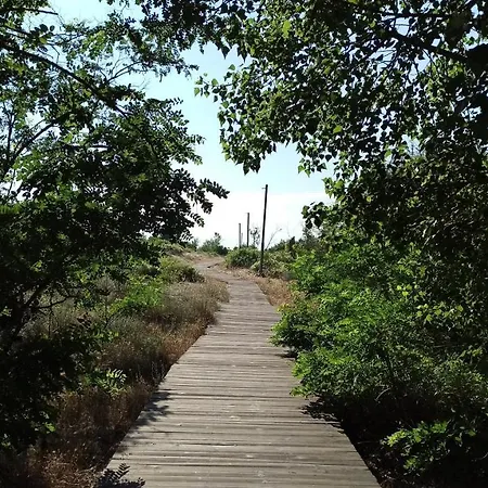 Daire River Park Sunny Beach