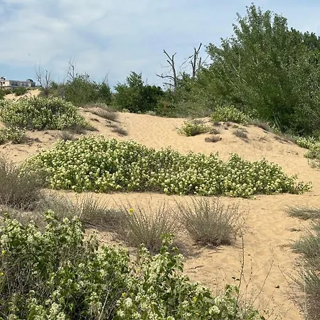 River Park * Слънчев бряг