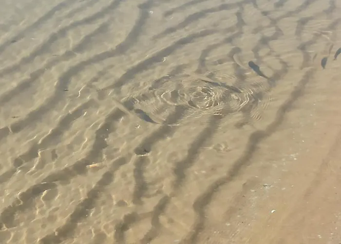 River Park Apartment Sunny Beach