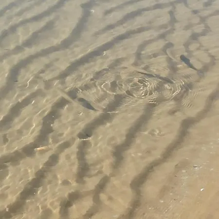 River Park Apartman Napospart